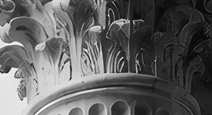 Close view of a fluted classical column in warm black and white.